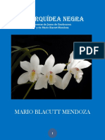 La Orquídea Negra