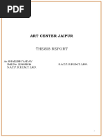 Art Center Jaipur: Thesis Report