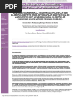 Síndrome Neumorrenal: Hemorragia Pulmonar Con Glomerulonefritis Endo-Extracapilar Sin Evidencia de Anticuerpos Anti Membrana Basal Glomerular (Síndrome Goodpasture Probable Inmune) .