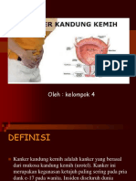 Ca Kandung Kemih