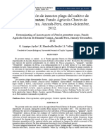 Determinación de Insectos Plaga Del Cultivo de Punica Granatum PDF