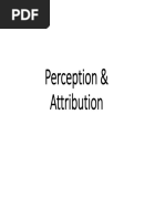 Perception PDF