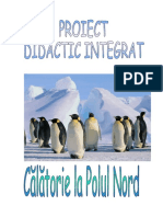 Calatorie La Polul Nord Proiect Didactic Integrat