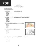 SMKS Akhir Tahun English High Function