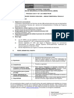 9 Funciones Acompanante Tecnico PDF