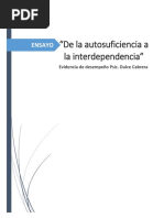 De La Autosuficiencia A La Interdependencia