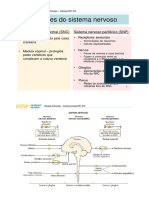 Embriologia Do Sistema - Nervoso