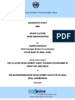 Diagnostic Study Report of Grape Cluster Nasik Maharashtra