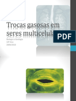 Biologia e Geologia - 10º Ano - Trocas Gasosas em Seres Multicelulares