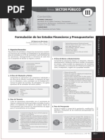 Sector Público: Formulación de Los Estados Financieros y Presupuestarios