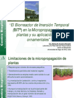 12 El Biorreactor de Inmersion Temporal en La Micropropagacion Ornamentales Dra - Maritza M.Escalona Morgado PDF