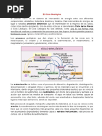 El Ciclo Geologico