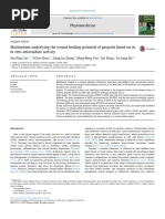 Mechanisms Underlying The Wound Healing Potential of Propolis Based On Its in Vitro Antioxidant Activity