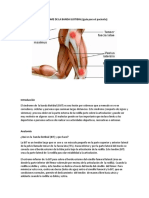 El Síndrome de La Banda Iliotibial Healing