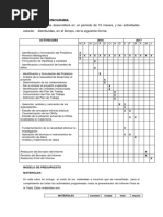 Pi - Cronograma y Presupuesto