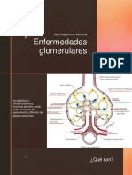 Enfermedades Glomerulares