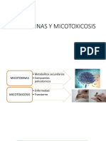 Micotoxinas y Micotoxicosis 1