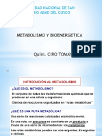 Metabolismo Energetico