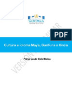 Area de Cultura e Idiomas Maya Garifuna o Xinca Primero Básico