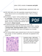 Neuropathology