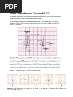 Electrocardiograma Normal Parte 1 1 Autoguardado