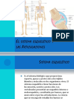 El Sistema Esquelético y Las Articulaciones Presentación