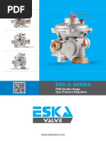 Regulador Eska Valve