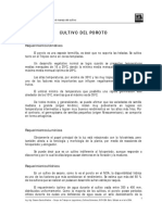 Poroto PDF