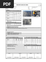 Reporte Diario