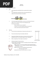 Cardiac Cycle Worksheet