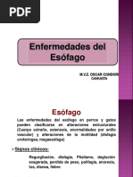 Esofago