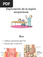 Exploración de La Región Anoperineal