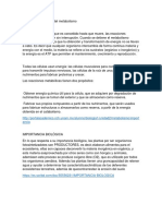 Importancia Biológica Del Metabolismo