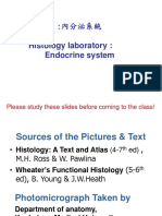 Histology Laboratory: Endocrine System: Please Study These Slides Before Coming To The Class!