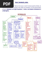 Coseriu - Determinación y Entorno - Esquema