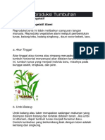 Sistem Reproduksi Tumbuhan