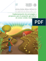 Manual Fao-Pesa