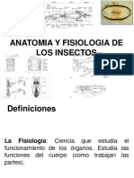 Fisiologia de Insectos 2014