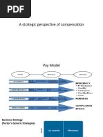 CM Strategic Perspective