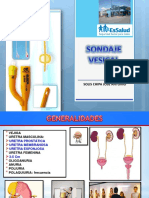 Cateterismo Vesical Hnagv