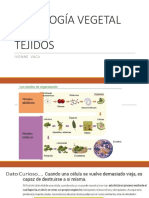 Biologia Vegetal 1 Tejidos 1