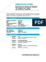 Curriculum Vitae de Braulio Paucar