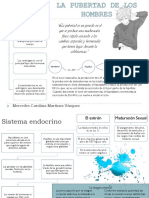 La Adolescencia de Los Hombres