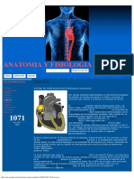 Unidad 5 - Anatomia y Fisiologia Cardiaca