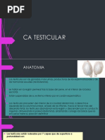 CA Testicular