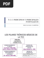 Terapia Cognitivo Conductual Completo