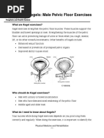 Male Kegel Ex