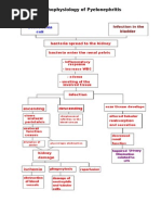 Pa Tho Physiology of Pyelonephritis