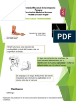 Fracturas y Luxaciones Seminario