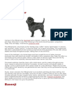 Affenpinscher: Dog Breed Companion Dogs